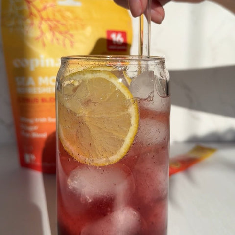 Blackberry Mint Mocktail