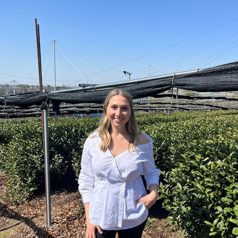 Come Visit our Matcha Supplier in Japan With Us!