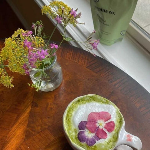 High vs Low-Quality Matcha: How to Spot the Difference