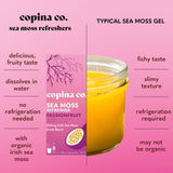 Load image into Gallery viewer, Passionfruit Sea Moss Refresher vs typical sea moss gel