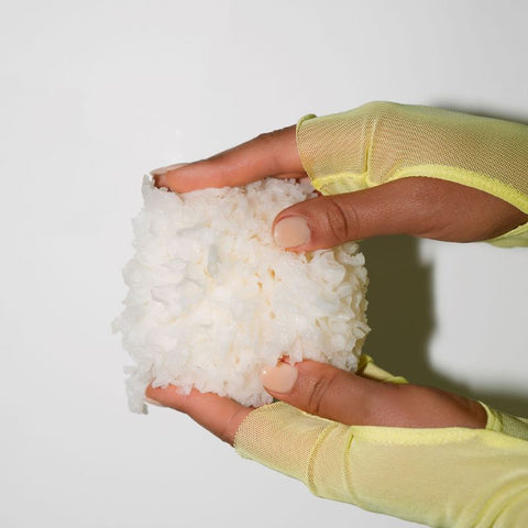 Fruiting Body vs. Mycelium - Why it Matters